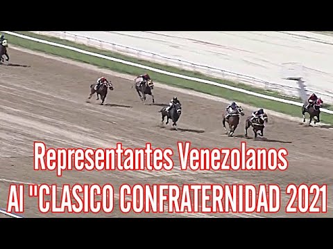 CABALLOS VENEZOLANOS AL CLASICO CONFRATERNIDAD 2021.