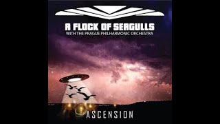 Transfer Affection (Orchestral Vesion)