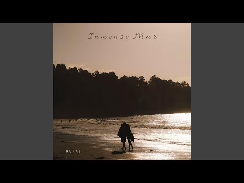 No Sabes Nada del Amor