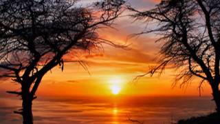 AMOR Y SEXO - RITA LEE Traduccion al español