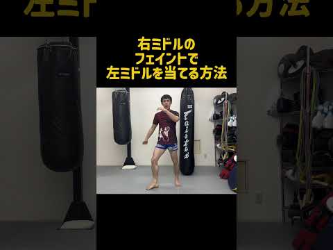 右ミドルキックのフェイントで左ミドルキックを当てるテクニック！