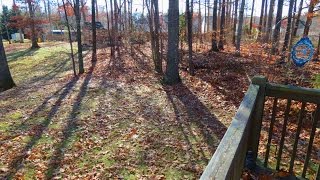 Shadows of Trees on a Fall Afternoon - Time Lapse