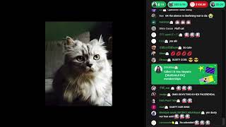 Hex Punishes You to chill with his cat Dusty (Heaven)