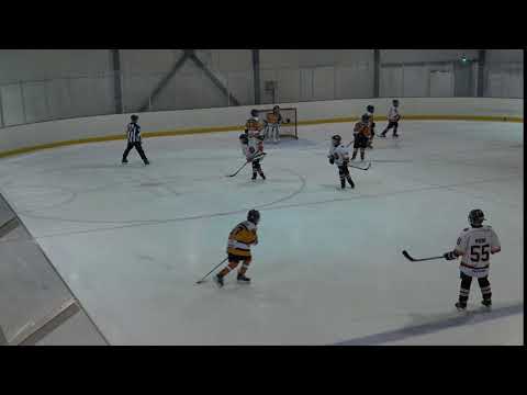 Kurra 08 - Haukat 08   01/20