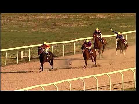 rm 20220311 03 p marzio