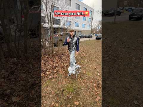Gassi gehen in 2046😂 | Lewinray #shorts
