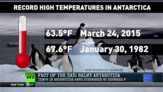 We Hit Highest Temperature Ever for Antarctica