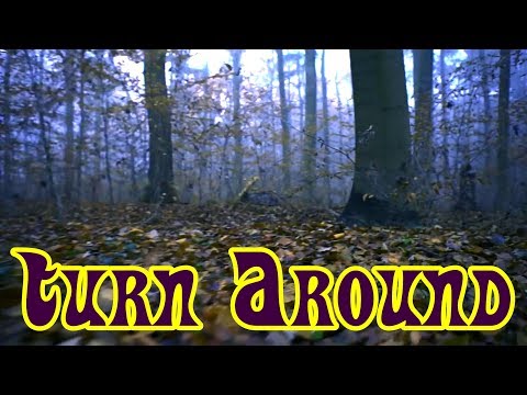 The Vogues - Turn Around, Look at Me