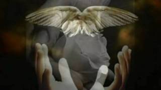 TONINO L&#39;IMMENSITA&#39;.wmv