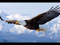 U.S. Army Field Band - The Dream of Flight