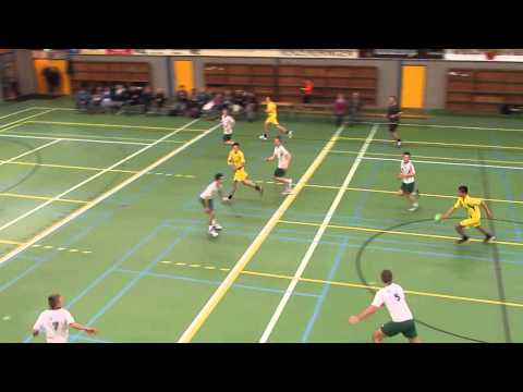 HB1  SWIFT .  Quintus - Swift   (2)