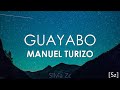 Manuel Turizo Guayabo Letra