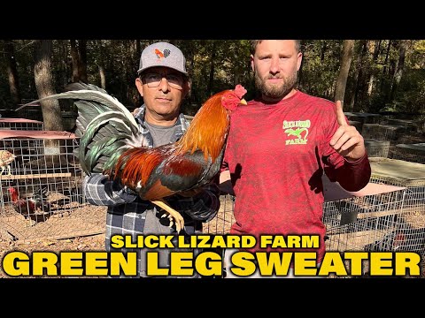 Jerry Adkins Yellow Leg Hatch Hoskins Green Leg Sweater - Slick Lizard Farm