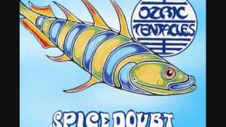 Ozric Tentacles - Sploosh (live 1998).wmv