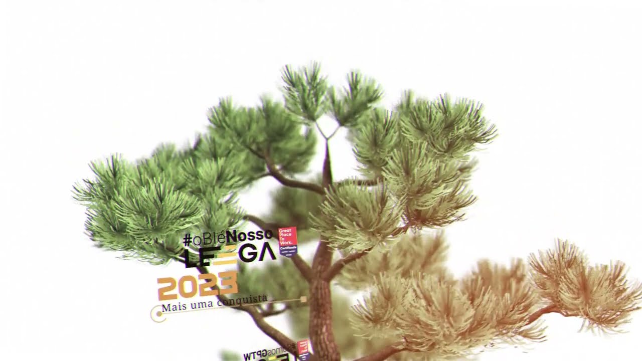 Leega conquista GPTW 2024 🌱 | Vídeo 3D com Bonsai representando nossa cultura