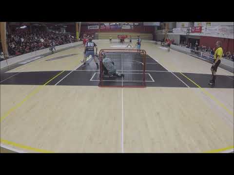 Sudet pelicans maalikooste