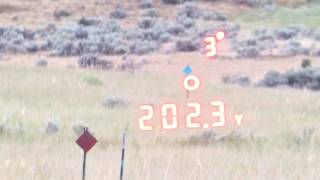 Sig 3000 BDX & Kestrel 5700 Elite Review