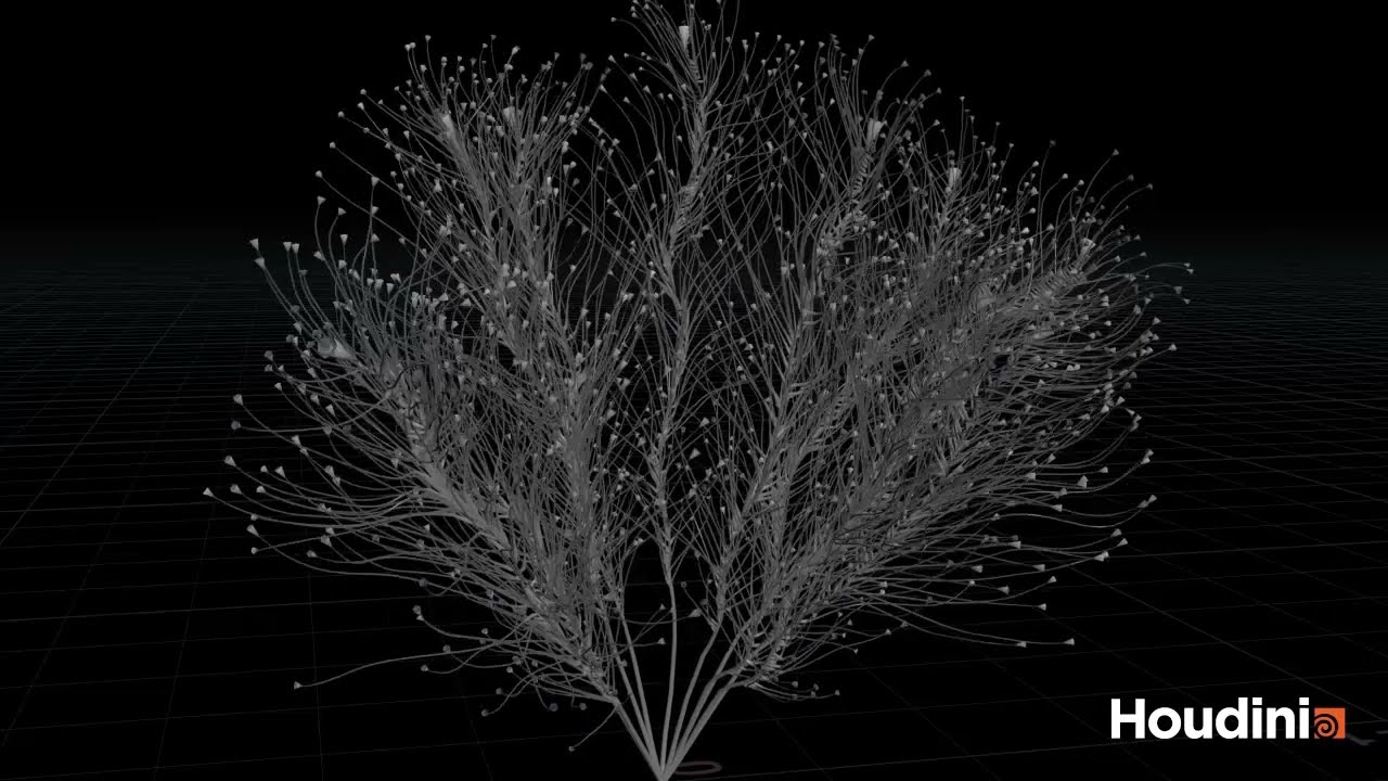 Chapter 11 - HelloLuxx Houdini exercise