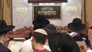 הרב בן ציון מוצפי • הילולת מרן רבנו עובדיה יוסף זיע"א מר חשון תשפ"ג