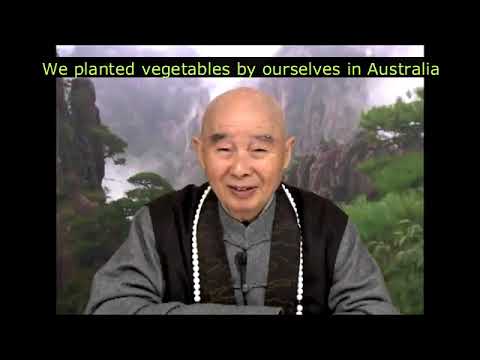 Both Animals & Plants are Alive, Why is Eating Vegetable Not Killing? 動物和植物都是有生命的，為什麼吃蔬菜不算殺生