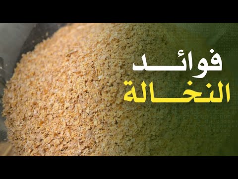 ما هي النخالة ؟ وما هي فوائد النخالة ؟