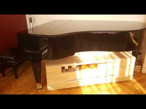 Vals del recuerdo (Príncipe Kalender), played by Bernhard Gehberger