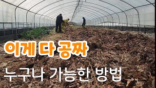 이 많은 걸 공짜 ! 농부는 공짜 거름이 최고 
