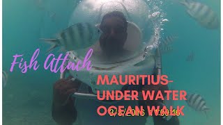 preview picture of video 'Travel Mauritius - Under Water ocean walk'