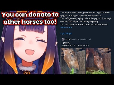 Ina saw the tweet about sending rye grass gift to Haru Urara