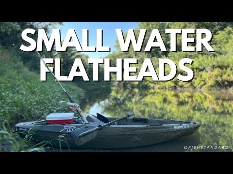 SMALL River Yields BIG Catfish | REAL Flathead Catch Footage