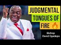 Heavy Judgmental Tongues of Fire 🔥 | Bishop David Oyedepo