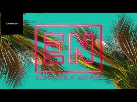 Tom Westy  - Want No Other (Official Visualiser)