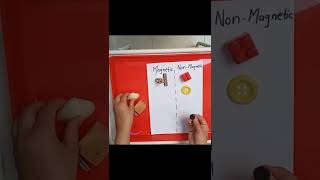 Magnetic And Non-magnetic Items | A Simple At Home Science Activity