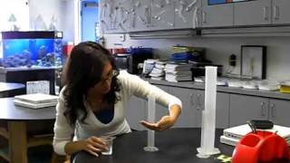 How To Measure the Volume of a LIquid Using A Graduated Cylinder