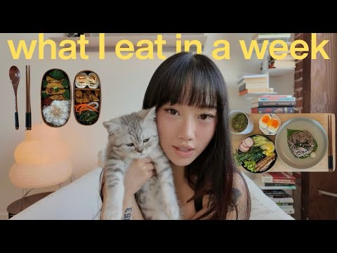 WHAT I EAT IN A BUSY WEEK | realistic days, high protein bento box, food diaries