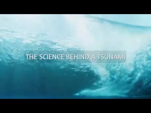 Ciência por trás do tsunami