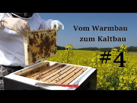 Imkern mit einem Anfänger # 4 Das Kaltbauexperiment