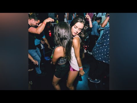 download lagu mp3 mp4 Musica Circuit, download lagu Musica Circuit gratis, unduh video klip Musica Circuit