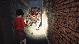 DreadOut 2 | Core 2 Quad Q8400 2.66ghz | Amd Radeon R5 240 1GB | 8GB Ram!