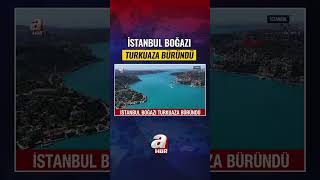 İstanbul Boğazı Turkuaza Büründü! Büyüleyen Manzaranın Sırrı Ortaya Çı