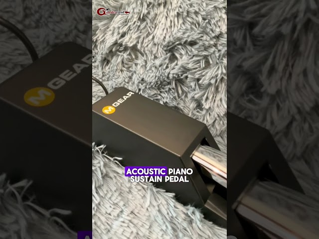 Vídeo relacionado con M-AUDIO SP-2 Pedal de Sostenido Universal con Tacto de Piano para Teclados Electrónicos, Pianos Digitales, Controladores MIDI, Sintetizadores y Más