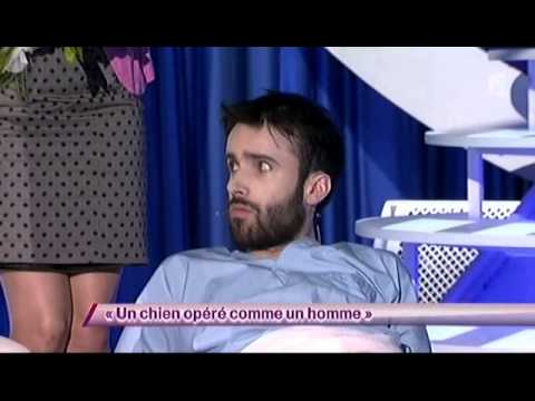 Sacha Judaszko [55] Un chien opéré comme un homme #ONDAR