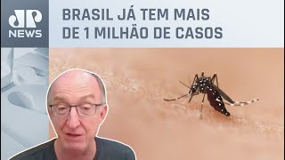 Infectologista analisa dengue: ‘Março deve ser o pior mês em número de casos de transmissão’