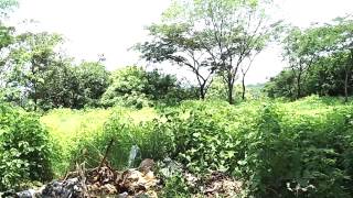 preview picture of video 'Terreno ½ Manzana, desvio de Amayo, Chalatenango, El Salvador'