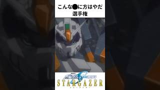 こんな◯に方はやだ選手権③　機動戦士ガンダムSEED C.E.73 STARGAZER編 #ガンダム #ガンプラ #gundam