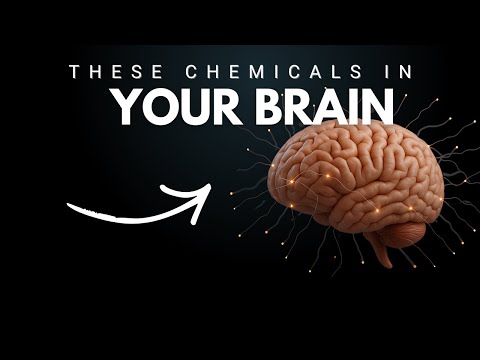 Trading Psychology Coach Explains How To Deal With Losses