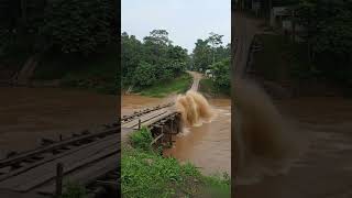 Download lagu Jembatan Kayu Ambruk Usai Dilintasi Truk Berat #shorts mp3 Download lagu Jembatan Kayu Ambruk Usai Dilintasi Truk Berat #shorts mp3