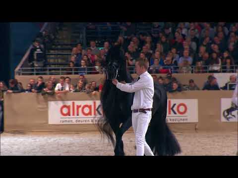 Hengstenkeuring 2018: Kampioenskeuring Oudere hengsten