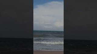 Download lagu Poove sempoove song 💞Tamil love whatsapp status 💞 #lovewhatsappstatus #lyrics #80s #love #tamilsong mp3