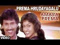 Prema Hrudayagalu Video Song Amara Prema Kumar Bangarappa Chandrika Shivaranjani